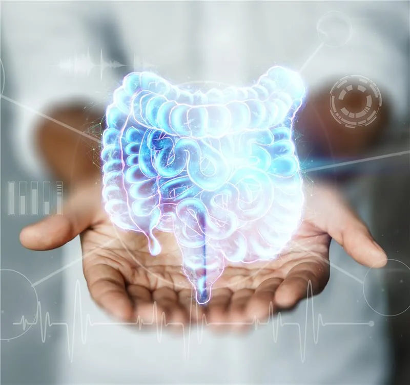 Medical Imaging Solutions for GI Trials